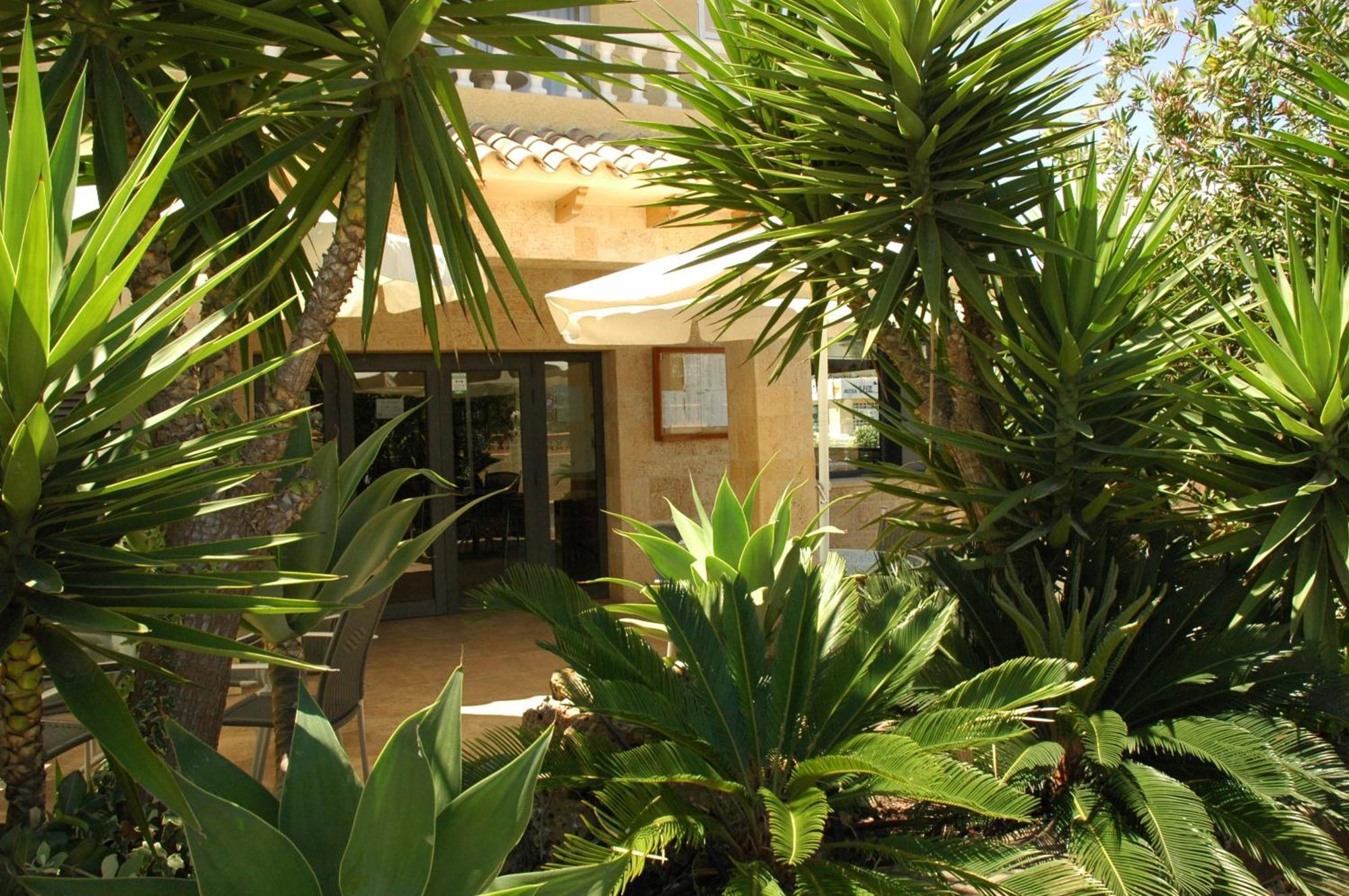 Hotel Noguera El Albir Exteriér fotografie